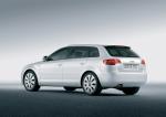 Audi A3 Sportback 1.9 TDI 2004 года (WW)